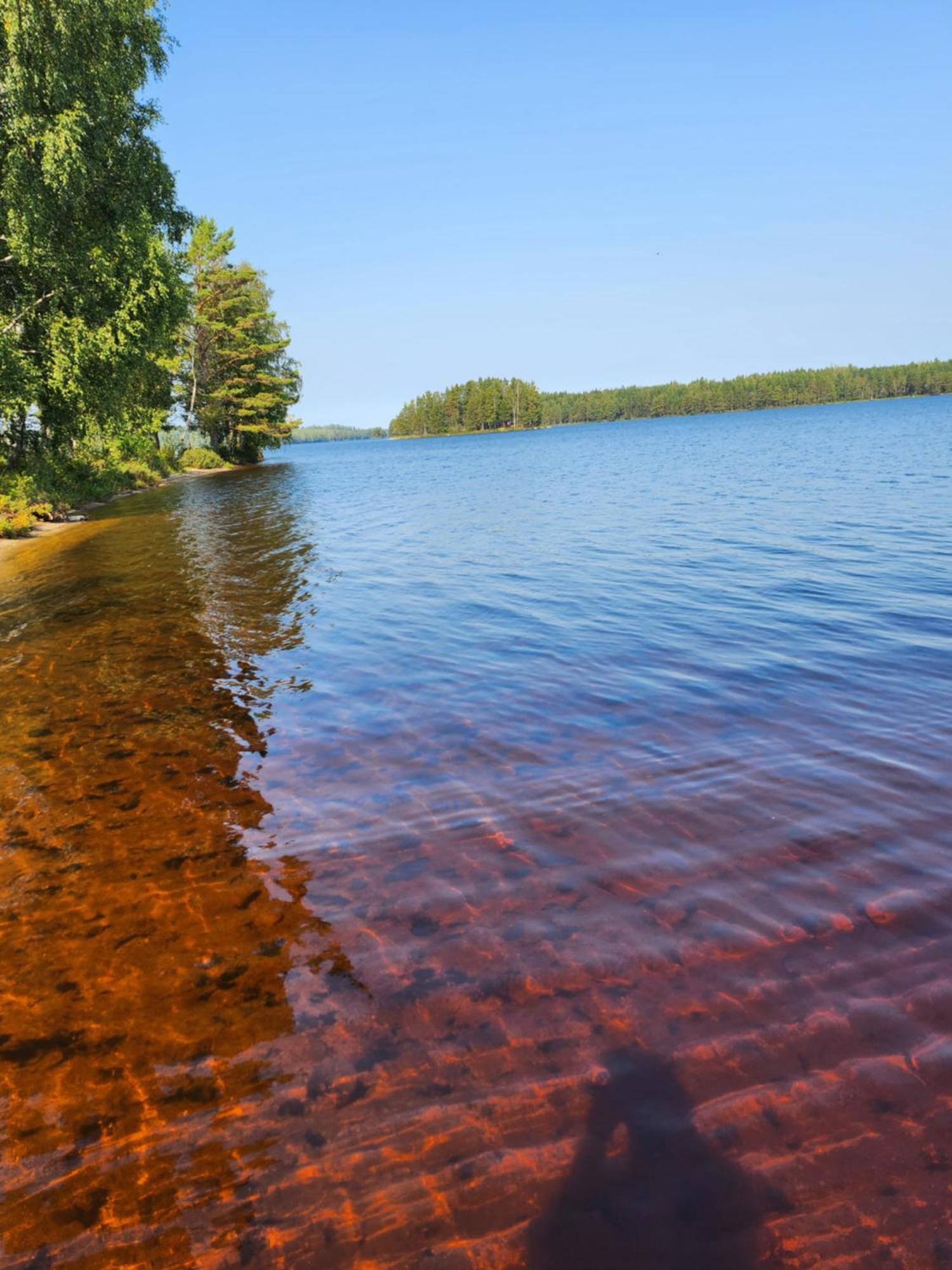 Stuga Ani Svarta  Bagian luar foto